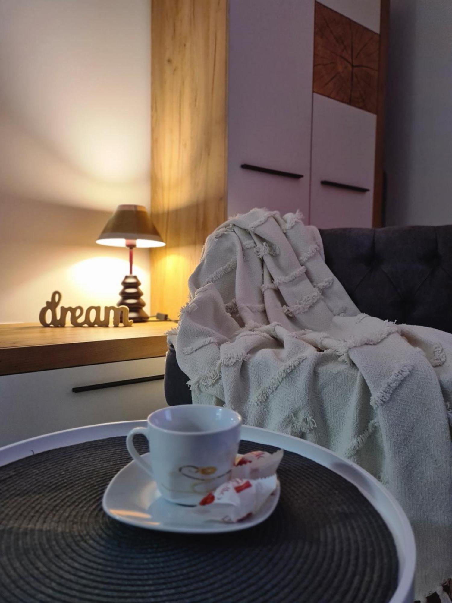 Studio Red Apartment Brasov Luaran gambar